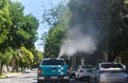 El cronograma de fumigación y las tareas preventivas llegaron hoy a diez localidades del Partido