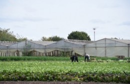 Finalizó el Relevamiento Florihortícola Platense 2025: Buscan fortalecer el sector rural platense