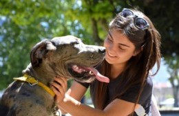 Vacunación Mascotas en Parque Saavedra