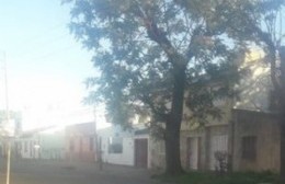 La calle 4 se ha convertido en un dolor de cabeza por las altas velocidades