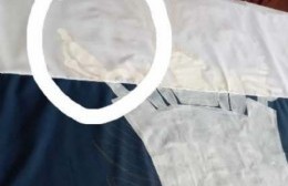Una artista de Villa Alba se sorprendió al encontrar un rostro en la bandera que pintaba
