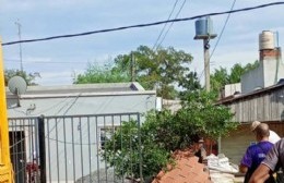 Una mala maniobra terminó con varios postes tendidos y cables en el piso en Villa Alba
