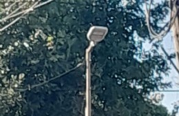 Vecinos denuncian el robo de cabezales LED en la zona de Montoro