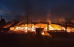Terrible incendio en Villa Elisa: se prendió una caballeriza