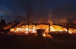 Terrible incendio en Villa Elisa: se prendió una caballeriza