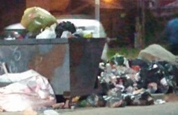 Sin recolección y casi nada abierto