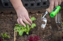 Lanzan un taller de huerta agroecológica con las claves para cultivar alimentos sostenibles en casa