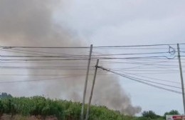 Como todos los años: Fuego en los cañaverales a la altura de 5 y 85