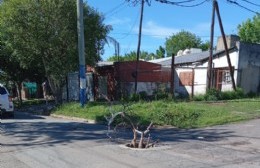 116 y 89 se robaron la tapa de cloacas y exponen a vecinos a accidentes