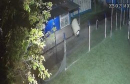 Se fueron caminando del Club con un tanque de agua al hombro